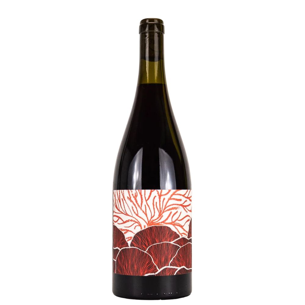 Future Perfect House Pinot Noir 2024
