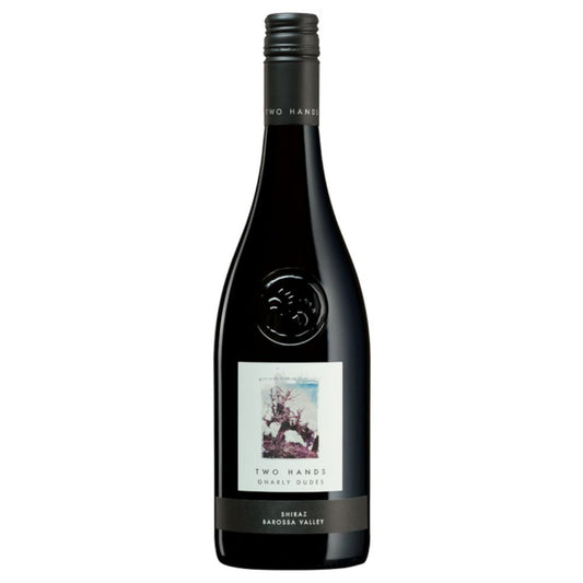 Two Hands Gnarly Dudes Shiraz 2022 750ml
