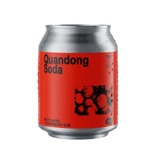 Mischief Brew Quandong Soda 250ml - Harold's Food and Liquor