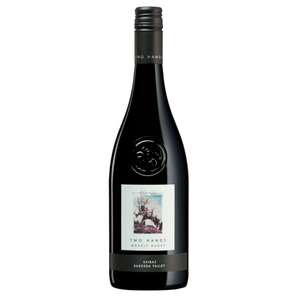 Two Hands Gnarly Dudes Shiraz 2022 750ml - Harold's Food and Liquor