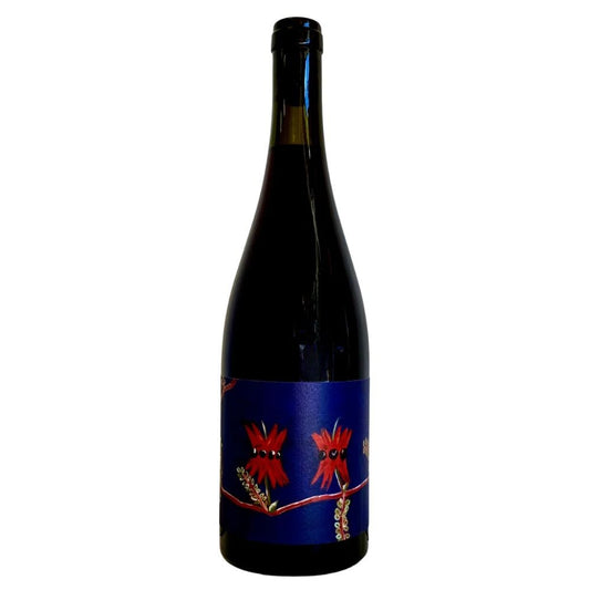 Wilkie Wines Desert Flower Pinot Noir 2023 750ml - Harold's Food and Liquor